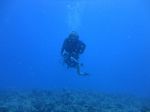 Hawaii Scuba divng 78