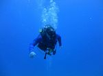 Hawaii Scuba divng 81