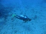 Hawaii Scuba divng 82