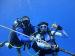 Hawaii Scuba divng 83