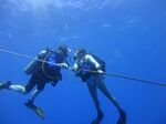 Hawaii Scuba divng 84