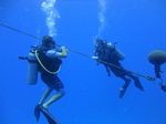 Hawaii Scuba divng 85
