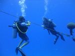 Hawaii Scuba divng 85