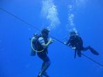 Hawaii Scuba divng 86