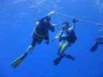 Hawaii Scuba divng 87