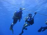 Hawaii Scuba divng 88
