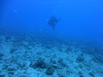 Hawaii Scuba divng 92