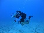 Hawaii Scuba divng 93