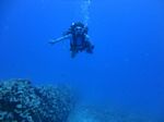 Hawaii Scuba divng 94