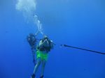 Hawaii Scuba divng 15