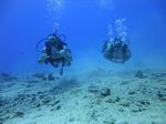 Hawaii Scuba divng 19