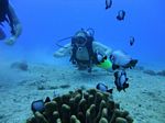 Hawaii Scuba divng 22