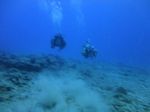 Hawaii Scuba divng 26