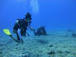 Hawaii Scuba divng 28