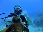 Hawaii Scuba divng 32