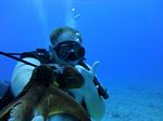 Hawaii Scuba divng 33