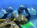 Hawaii Scuba divng 36