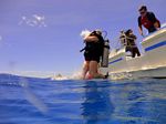 Hawaii Scuba divng 03