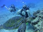 Hawaii Scuba divng 42