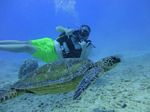 Hawaii Scuba divng 44