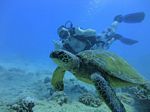 Hawaii Scuba divng 46