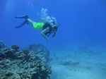 Hawaii Scuba divng 53