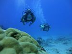 Hawaii Scuba divng 56