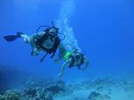 Hawaii Scuba divng 56