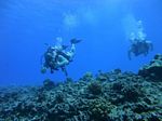 Hawaii Scuba divng 59