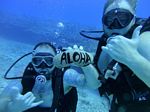 Hawaii Scuba divng 62