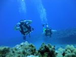 Hawaii Scuba divng 63