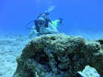 Hawaii Scuba divng 65