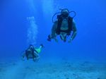 Hawaii Scuba divng 66