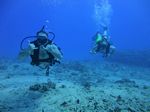 Hawaii Scuba divng 69