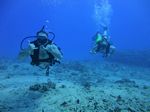 Hawaii Scuba divng 69