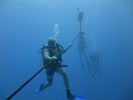 Hawaii Scuba divng 10