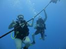 Hawaii Scuba divng 14