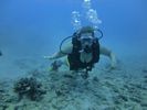 Hawaii Scuba divng 20