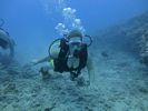 Hawaii Scuba divng 21