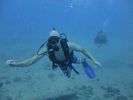 Hawaii Scuba divng 27