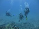 Hawaii Scuba divng 28