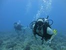 Hawaii Scuba divng 30