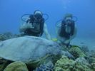 Hawaii Scuba divng 36