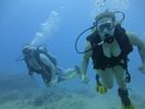 Hawaii Scuba divng 47