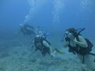 Hawaii Scuba divng 49