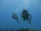 Hawaii Scuba divng 59