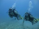 Hawaii Scuba divng 60