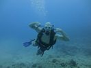 Hawaii Scuba divng 61