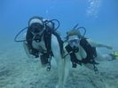 Hawaii Scuba divng 62