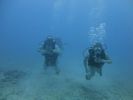 Hawaii Scuba divng 63